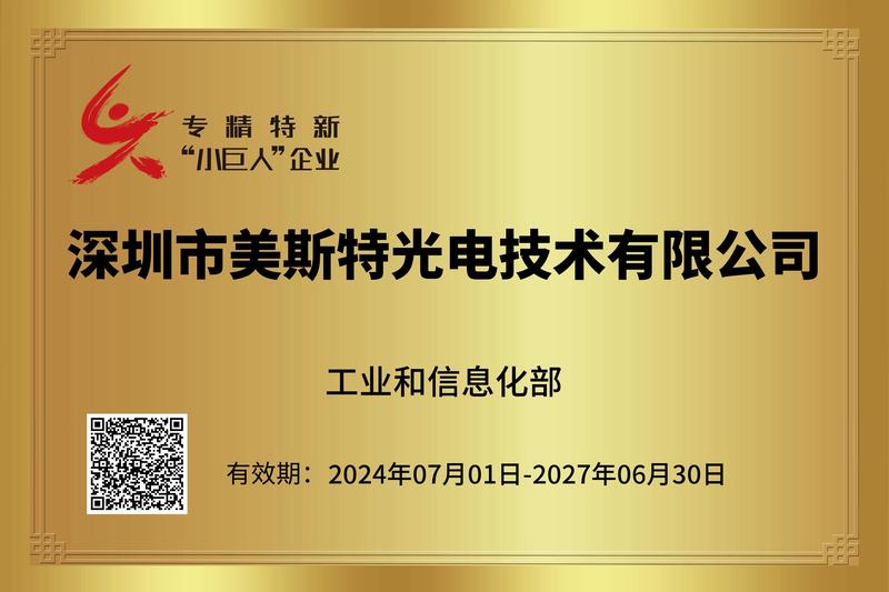 美斯特小巨人证书(1).jpg